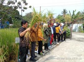 Evaluasi Kegiatan UGM dan Penerapan Teknologi Tepat Guna Untuk Pertanian Cerdas